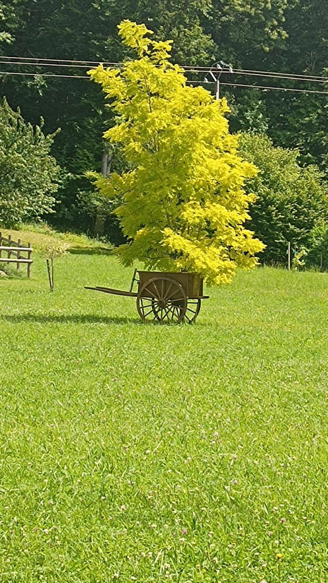La Petite Maison Dans La Prairie Ecommoy Luaran gambar